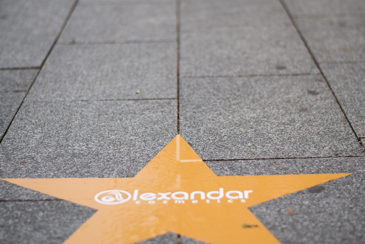 Red Carpet 20 Years - Image 9